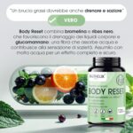 81EqFM4c3lL._AC_SL1500_